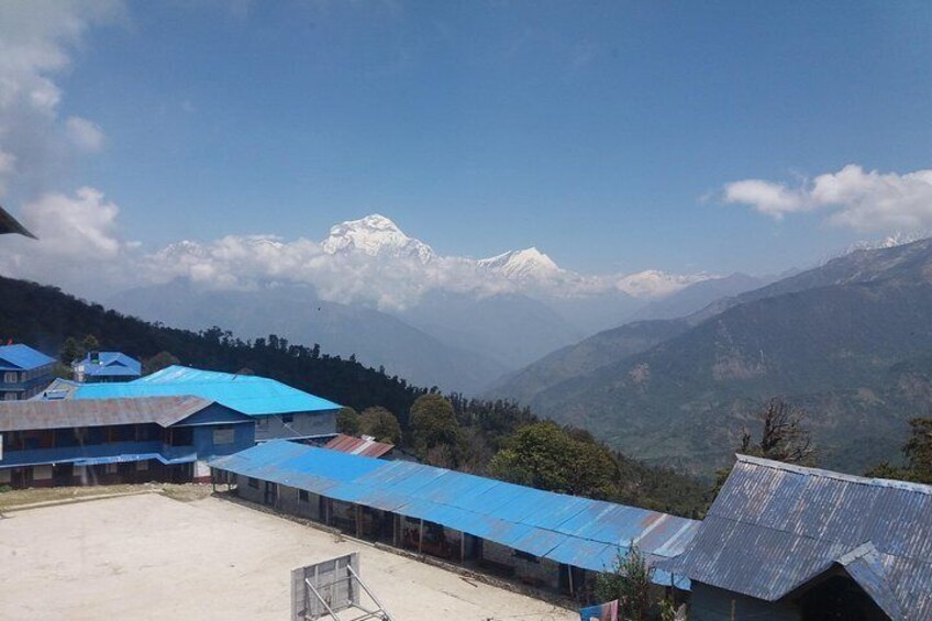 Poon hill