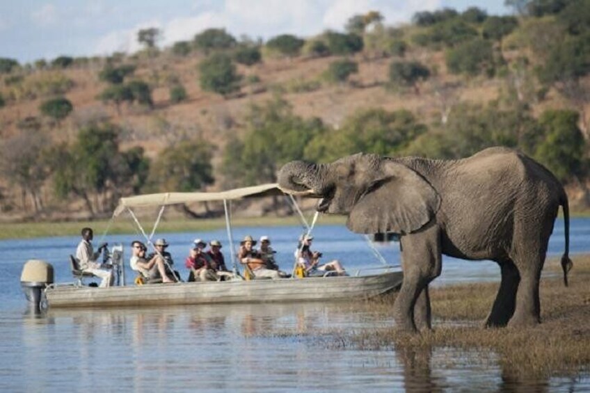 1 Day 1 Night Camping Safari in Chobe National Park