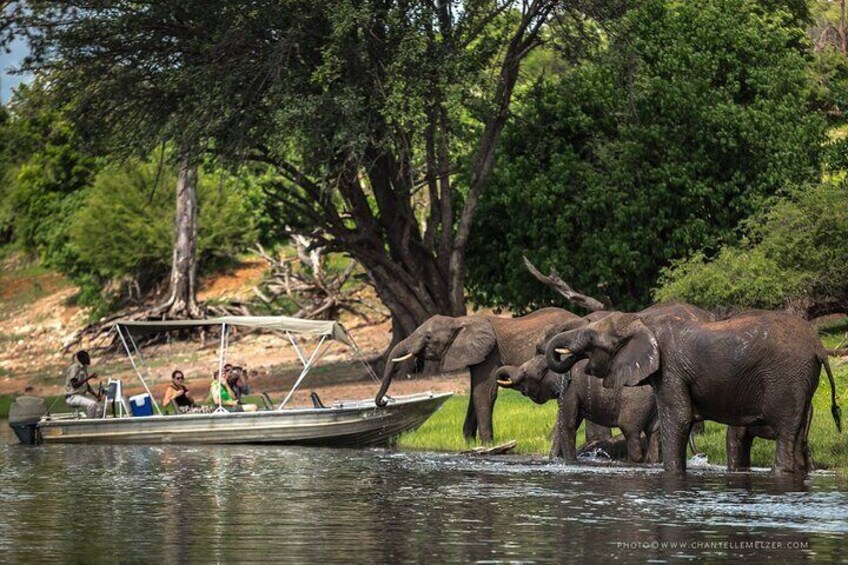 2 Days 1 Night Chobe National Park Camping Safari