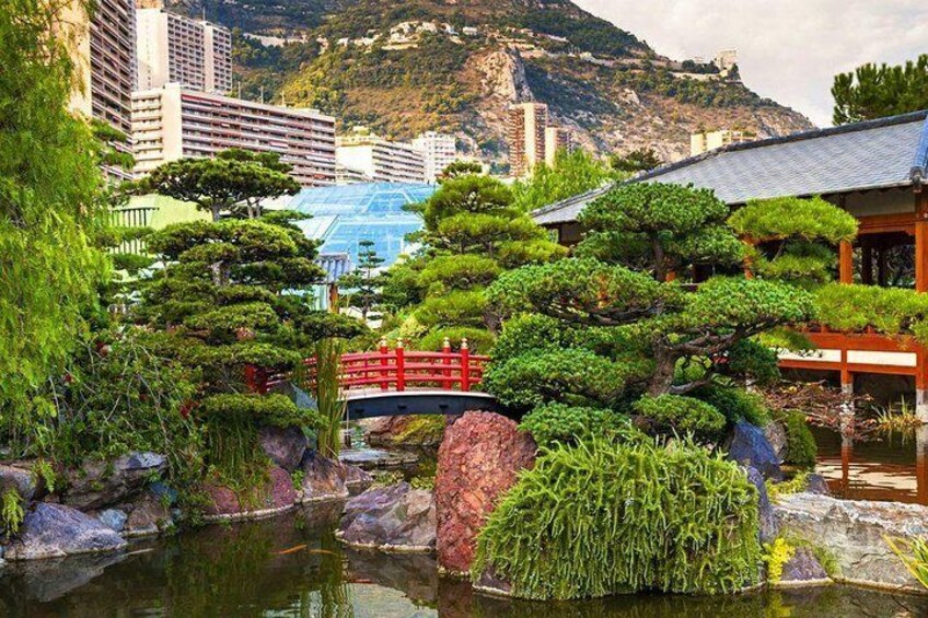 Secret Monaco : Hidden Gems, Art & Monumental Trees