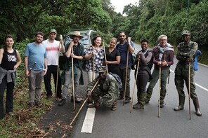 2 Days Chimpanzee Tracking in Nyungwe National Park Rwanda.