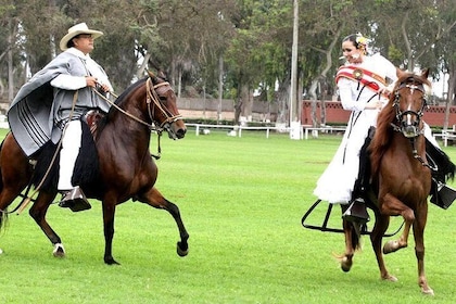 Pachacamac Pyramids, Lunch & Dance Horse Show!! Must see in Lima.