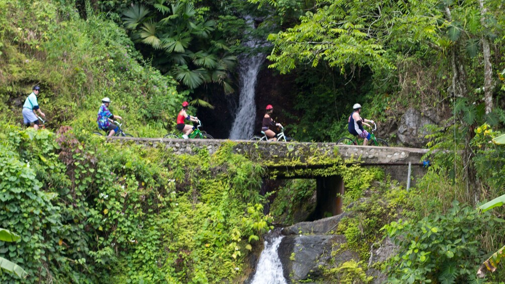 Five people on bicycles going over a bridge next to a waterfall in jamaica 
