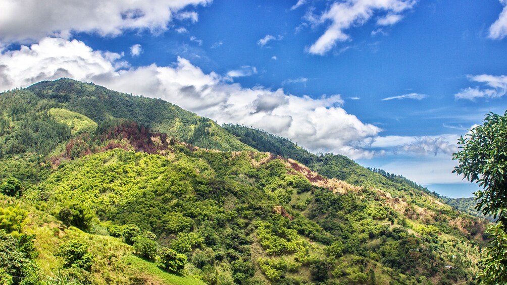 Landscape of Blue mountains in Jamaica 