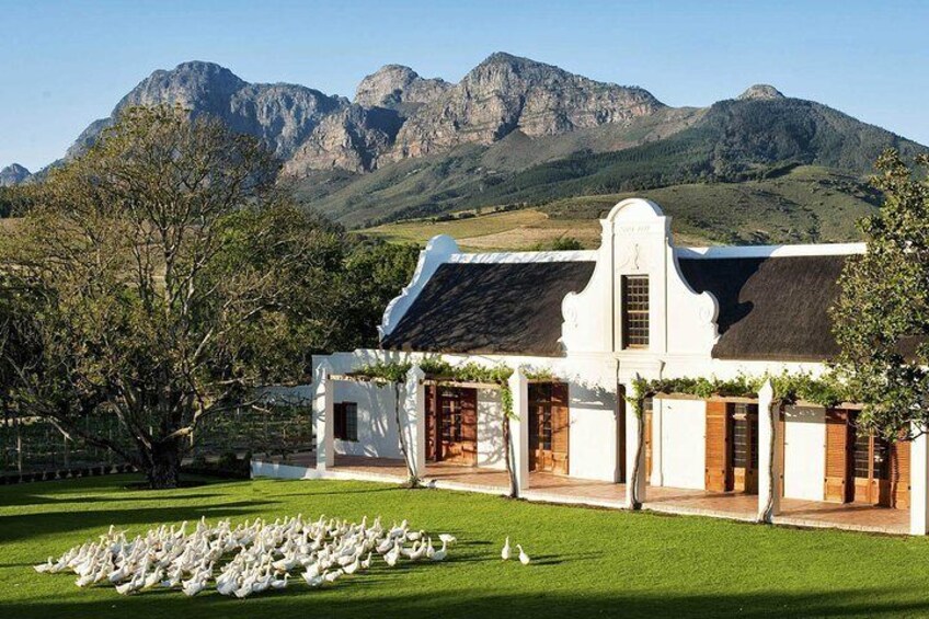 Cape Town Private , Wineland Tasting Tour