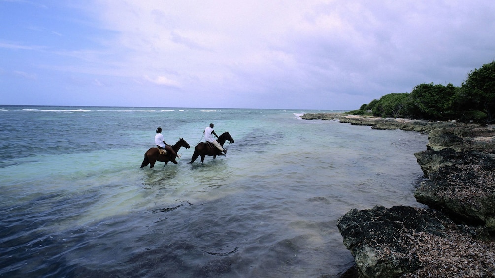 Horse backing riders in the ocean on the coast of jamaica