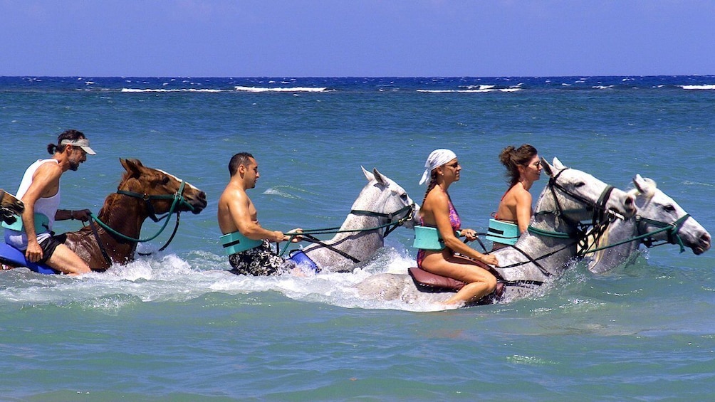 Horseback Beach Ride & Swim