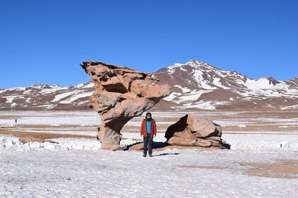 Salar De Uyuni. Classic Full Day. English Guide. PLS ASK FOR AVAILABILITY