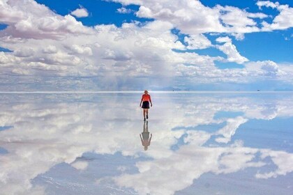 Salar De Uyuni (3 Days/ 2nights) English Guide