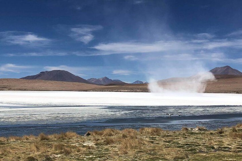 Salar De Uyuni 2 Days 1night. Eng Guide. Lagunas Route. Pls Ask For Availability