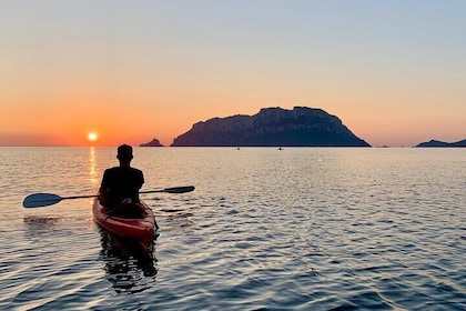 Small Group Sunrise Kayak Tour with Snorkelling and Coffee