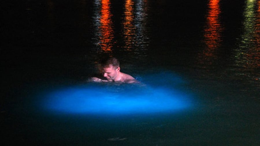 man swimming phosphorous water which illuminates bright blue when disturbed in jamaica