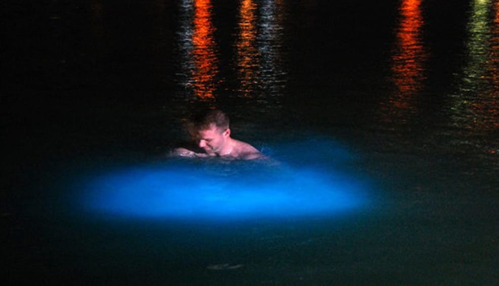man swimming phosphorous water which illuminates bright blue when disturbed in jamaica 