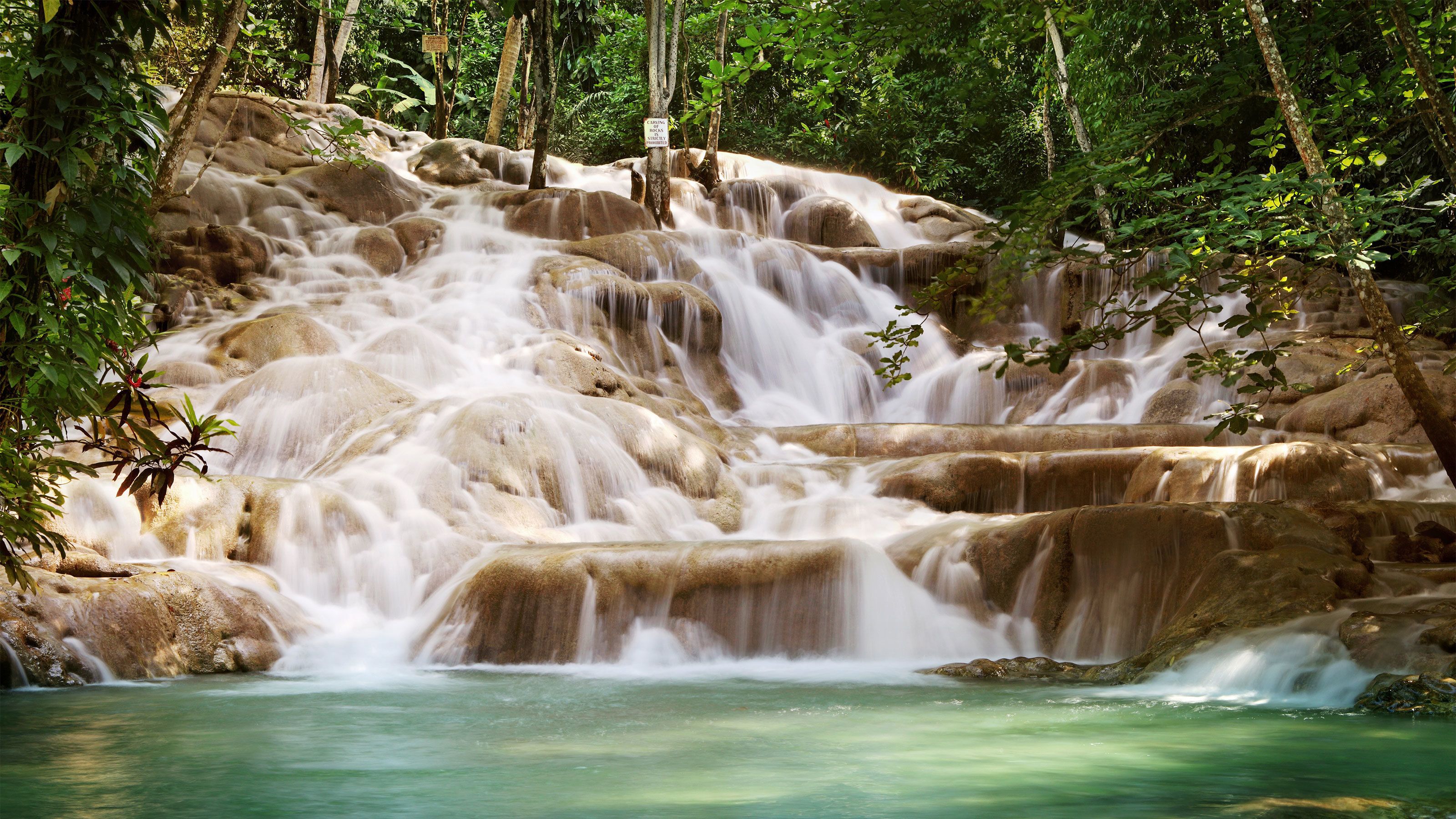 Guided Dunn's River Falls Tour