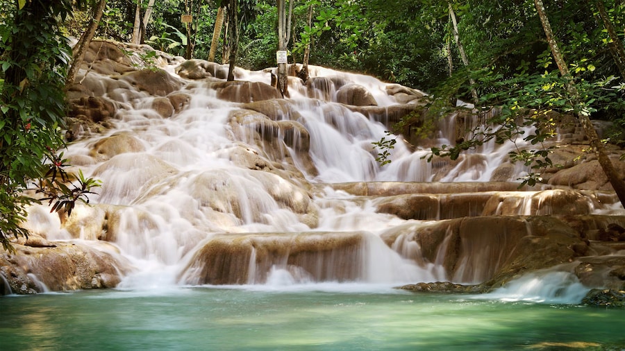 rocky water fall in the dunns river in Jamaica