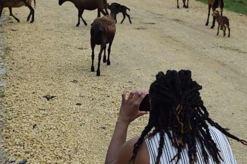 San Basilio de Palenque " Excursión Cultural Libertad Negra"