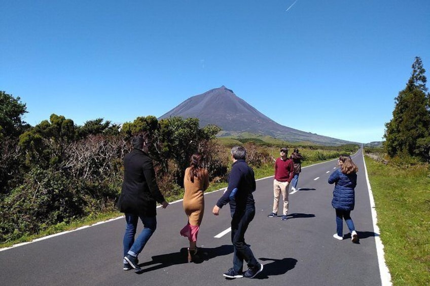 Full-Day Guided Tour in Pico Island