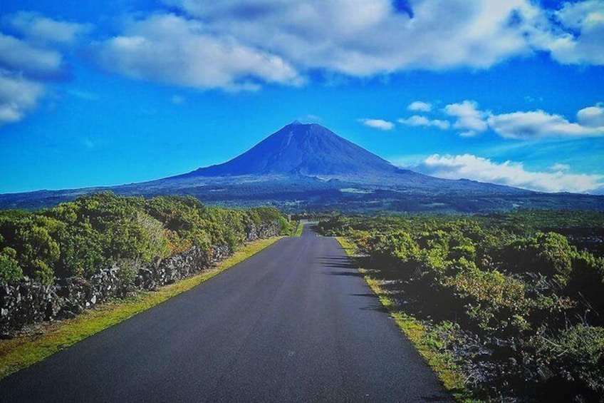 Full-Day Guided Tour in Pico Island