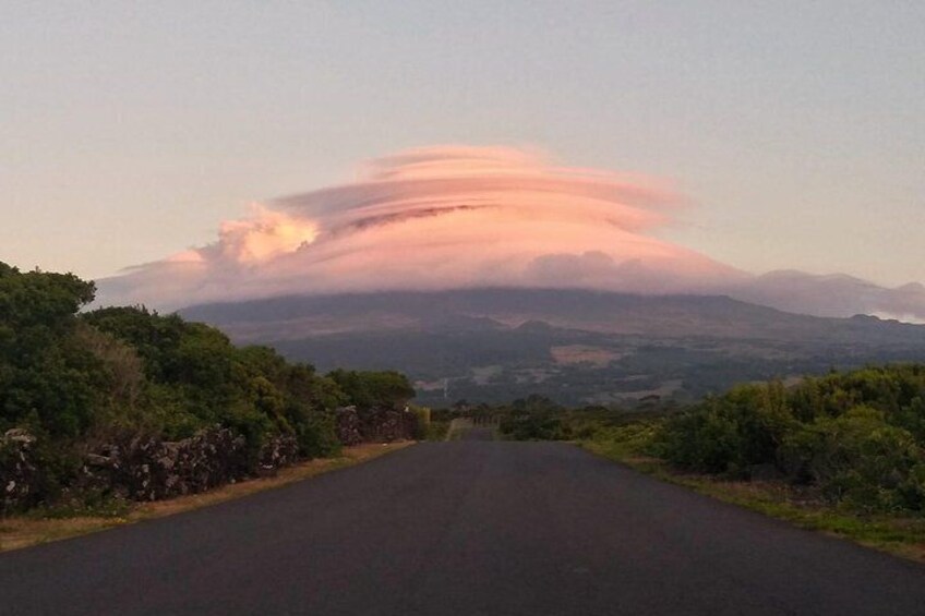 Full-Day Guided Tour in Pico Island