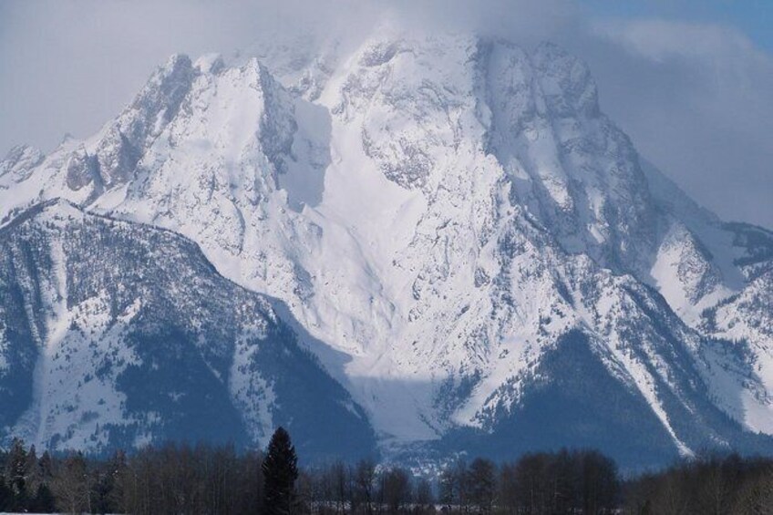Show item 1 of 9. Grand Teton Winter Wildlife Tour