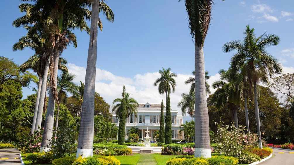 royal palms in jamaica