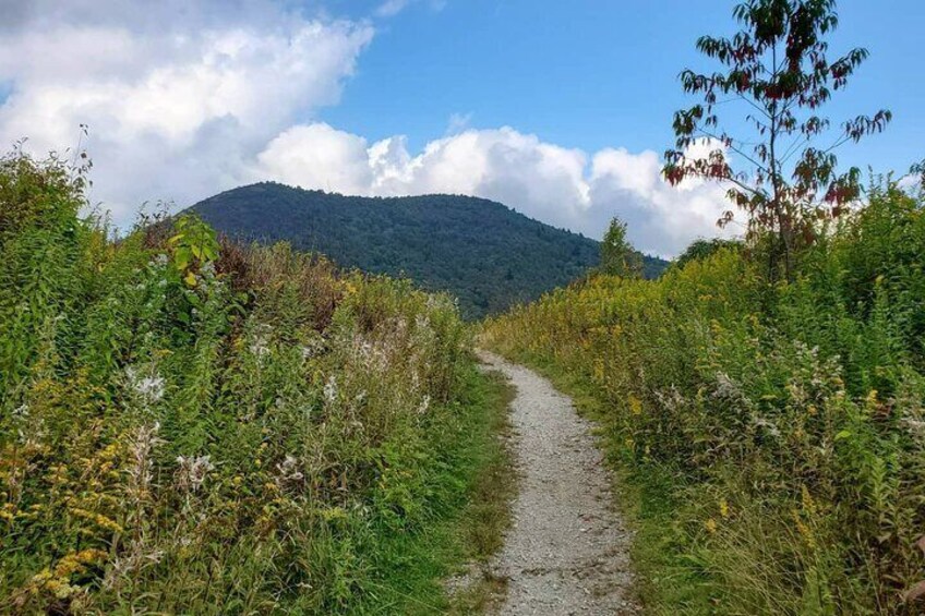 Privately Guided Half Day Hike