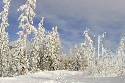 Winter in the High Tatras Mountains