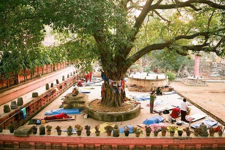 Full Day Private Trip to Bodhgaya from Varanasi