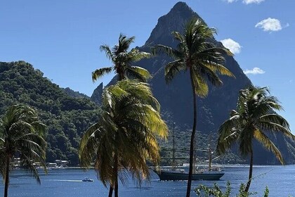 Wow Tours St. Lucia (COVID-19 gecertificeerd)