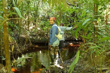 Iquitos: 2 Days /1 Nigth AMAZON LODGE & WILD