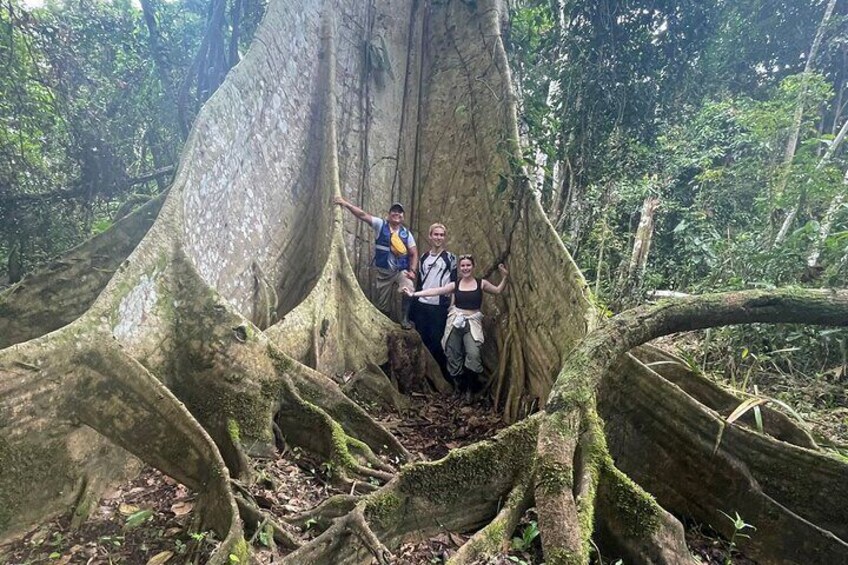 Amazon jungle tours Iquitos 2 Days /1 Nigth