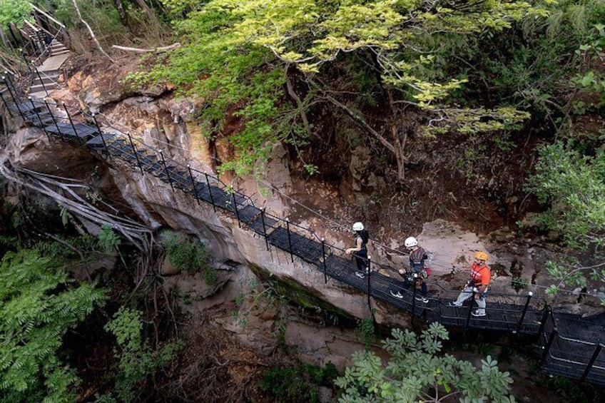 Canyon Half Day Tour