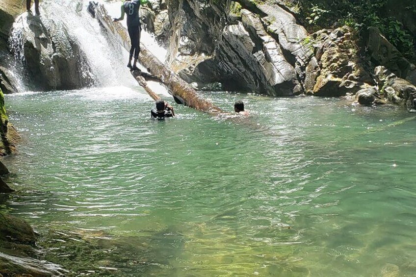 Aripo Waterfall Adventure