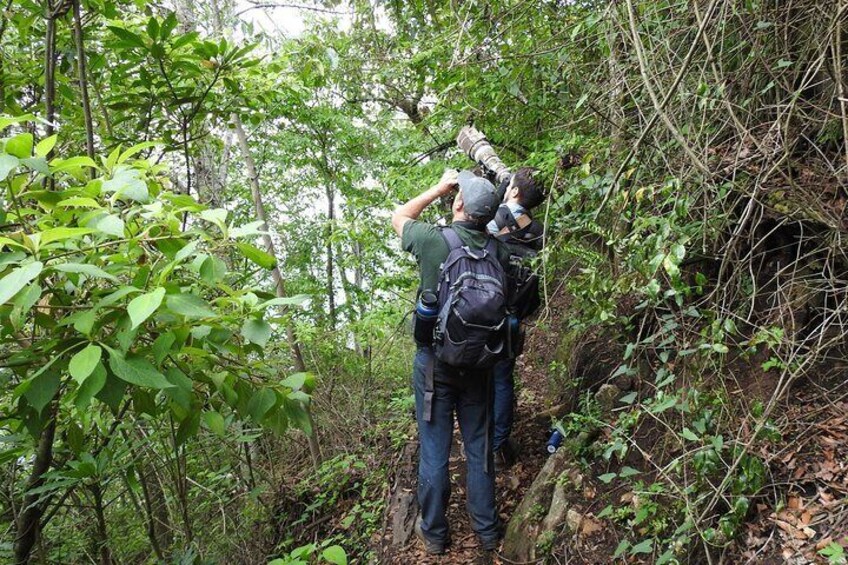 birding lake atitlan