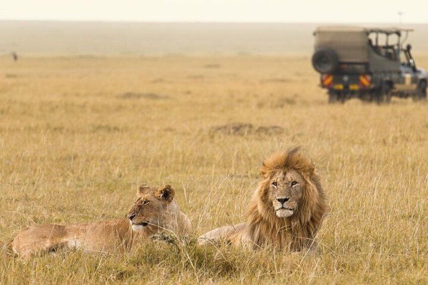 16 Day Great Adventure Kenya - Tanzania Clasic Safari