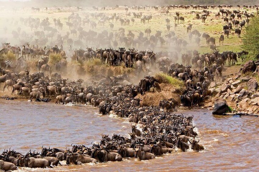 Mara river crossing