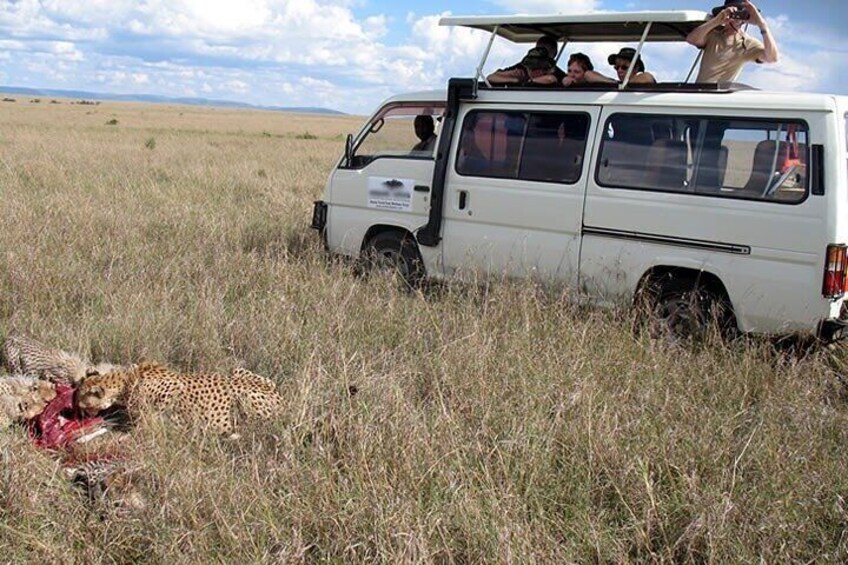 Tsavo East Safari game viewing