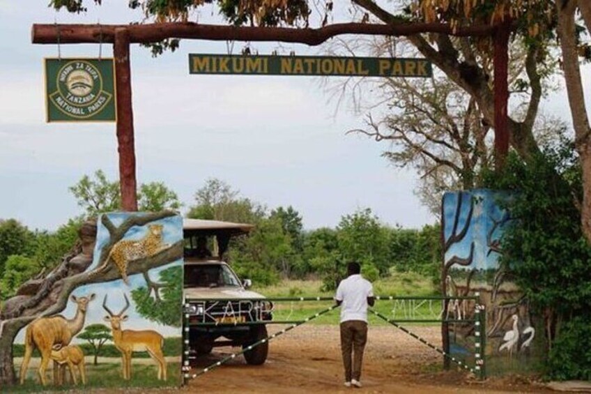 Mikumi National Park 2 Days/ 1 Night