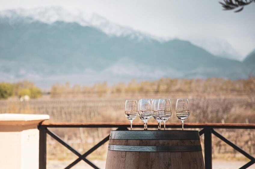 Rosé with view on the Andes