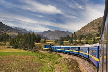 Machu Picchu by Train (Day Trip - Private)