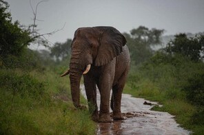 3-Day Wildlife Safari Tour
