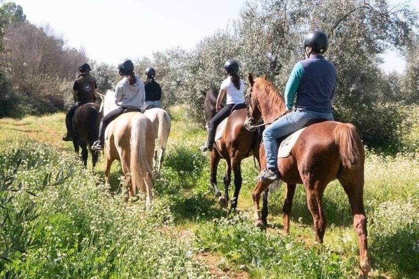 Horseback riding around Doñana