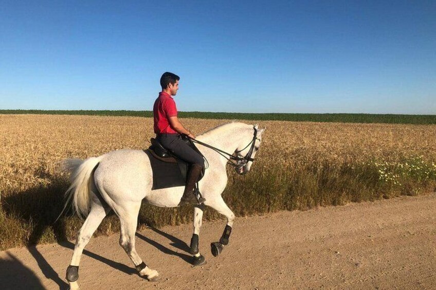 Horseback riding around Doñana