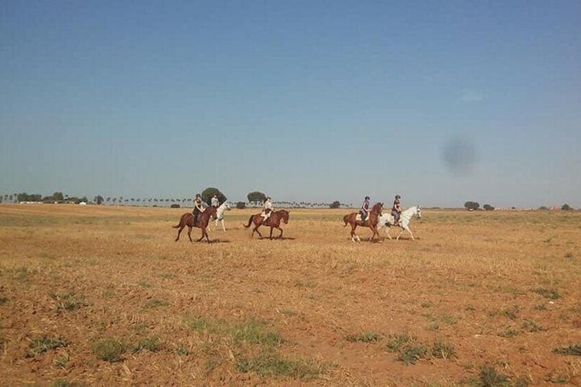 Horseback riding around Doñana