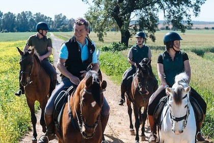 Promenade à cheval autour de Doñana