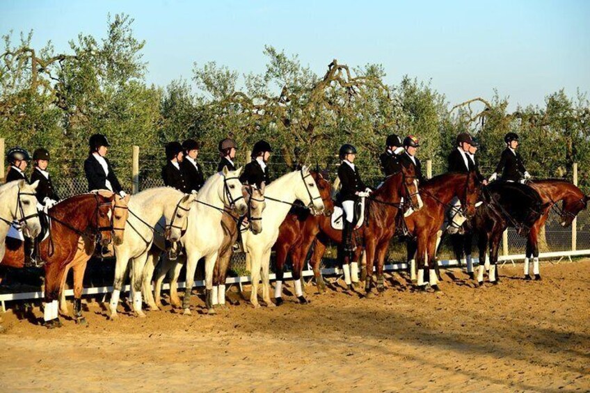 Horseback riding around Doñana