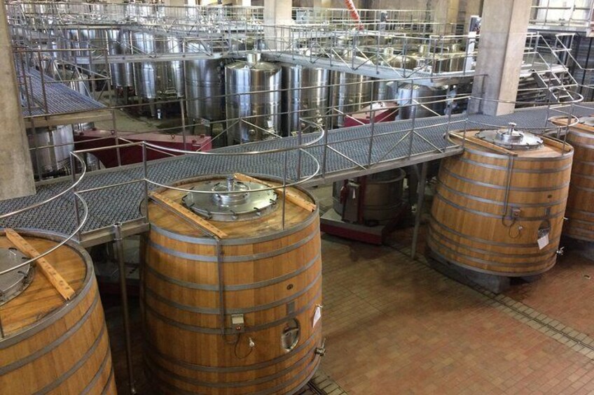 Colchagua Valley Experience