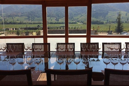 Colchagua Valley Experience