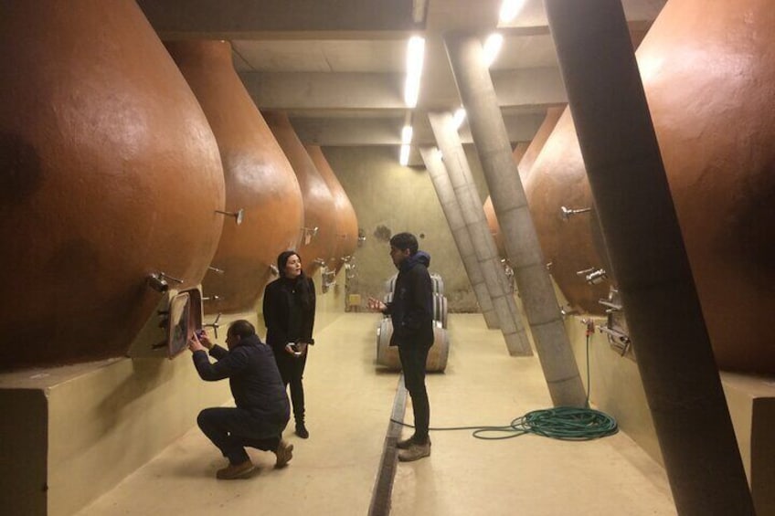 Concrete amphorae cellars re