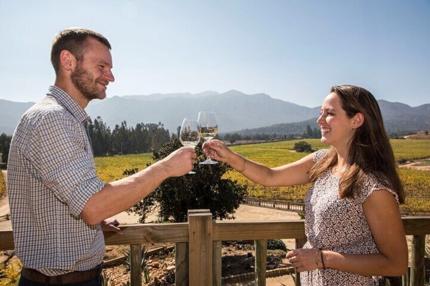 Terrace Villard Wine